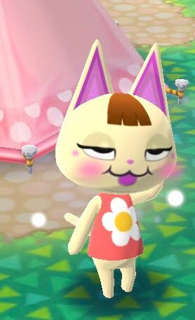 絶対一番安い さっちーさま オーダーメイド Kunokultas Lt 絶対一番安い さっちーさま オーダーメイド Kunokultas Lt