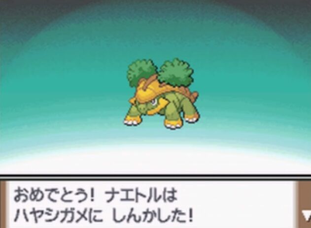 ガキワイ 10 ゴニョニョ なんやこの可愛いポケモン 育てたろ ゲーハーの窓