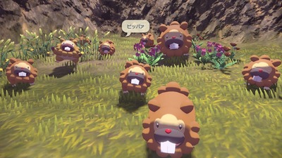 pokemon-legends376-bippa