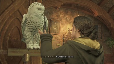 harrypotter-hogwarts-legacy144-hufflepuff