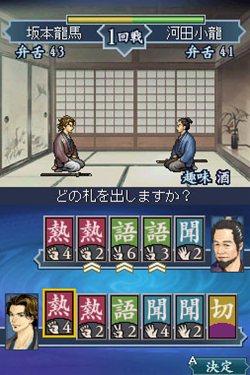 ishinnoarashi-ds1