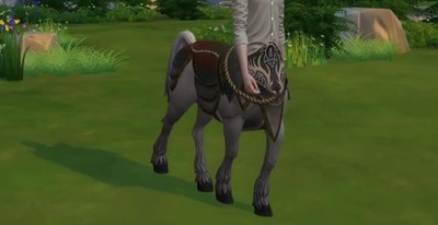 centaur4