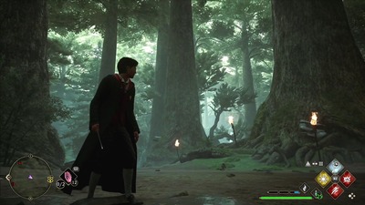 harrypotter-hogwarts-legacy267-mori