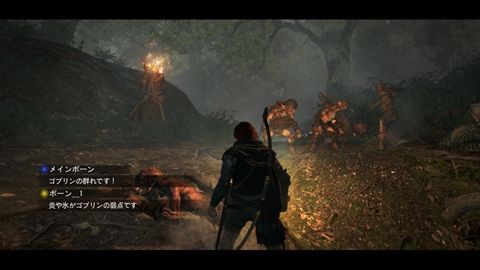 ドラゴンズドグマ好きなゲハ民 ゲーハーの窓