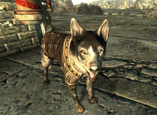 悲報 明らかにps2っぽい犬が発見される ゲーハーの窓 悲報 明らかにps2っぽい犬が発見される ゲーハーの窓