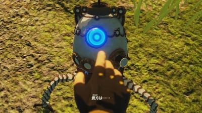 zeldamusou2-yakusainomokushiroku30-terrako