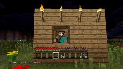 minecraft427-ps3-touhu