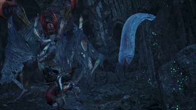 mh-wilds279-tnk-huruhuru