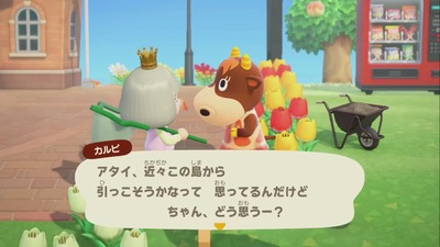 doumori-atumare894-ijime-oidasu