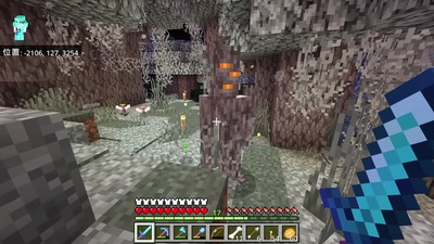 minecraft452-palegarden