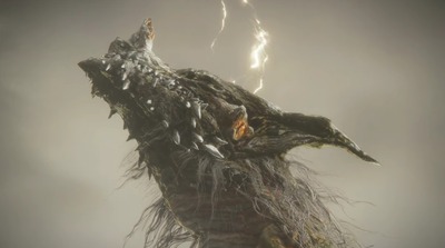 eldenring1383-placidusax