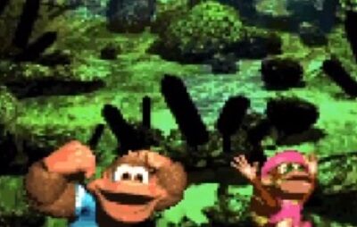 donkey-super3-47-bananabird-puzzle2