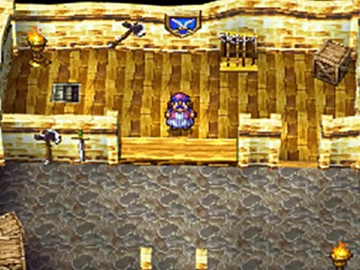 dq4-ds-8-baito-toruneko