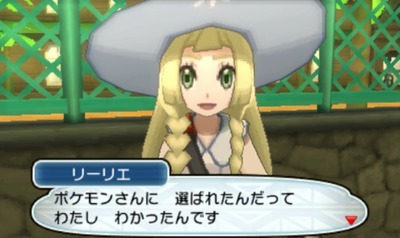 posm385-lillie