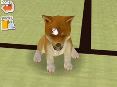 nintendogs2