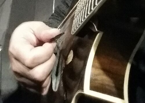 mandolinpicking3