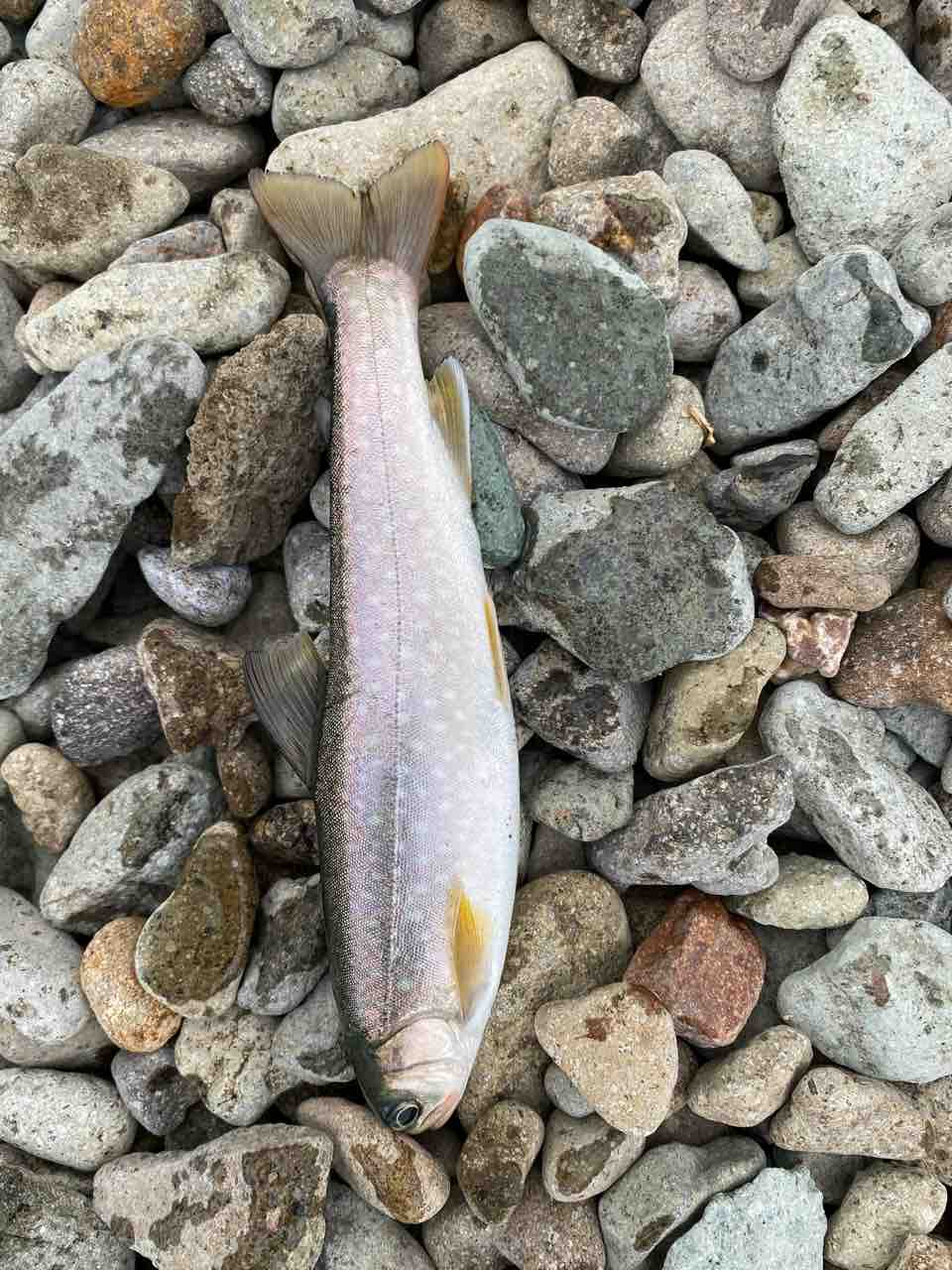 釣り 初心者カヤッカー