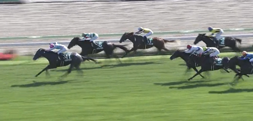 函館2歳S　ナムラリコリス