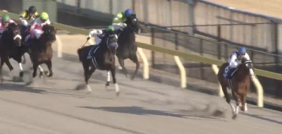 フェブラリーs 過去10年の傾向 買える条件 データ消去法 データ競馬予想 激走 データ競馬 Plus フェブラリーs 過去10年の傾向 買える条件 データ消去法 データ競馬予想 激走 データ競馬 Plus