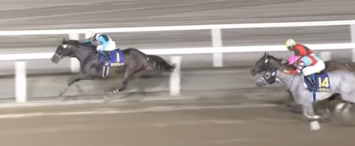 ブリーダーズゴールドカップ　プリンシアコメータ