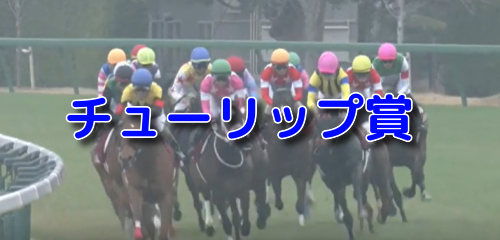 チューリップ賞