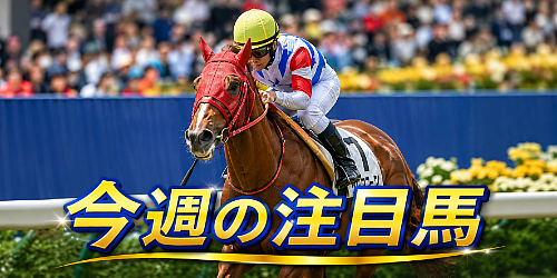今週の注目馬
