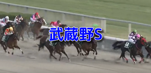 武蔵野S