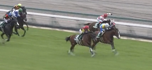 ファルコンS　ルークズネスト