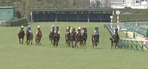 金鯱賞 サートゥルナーリア