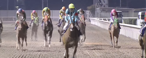 関東オークス ウェルドーン