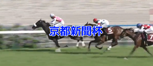 京都新聞杯