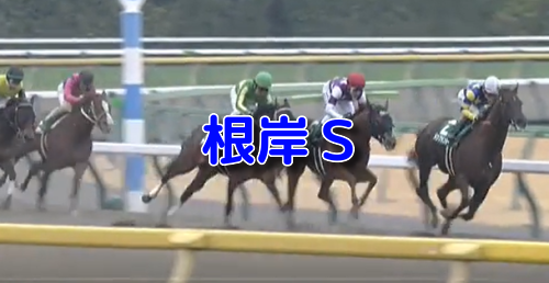 根岸S