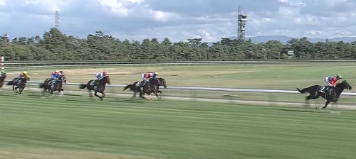 新潟2歳S ショックアクション