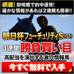 ���󥯥��󥯡�ī����FS250_250