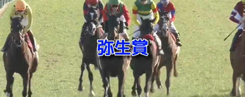 弥生賞