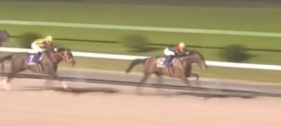 マイルCS南部杯 ルヴァンスレーヴ
