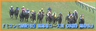 『【コンピ指数1位】競馬場コース別《単勝》馬券法』320