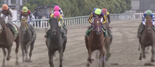 かしわ記念　カジノフォンテン