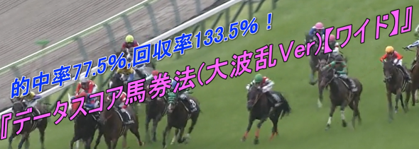 DS大波乱Verワイド