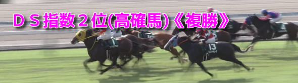 DS指数2位複勝590