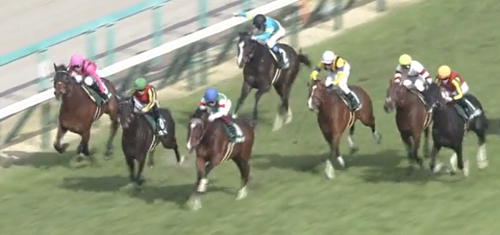 毎日杯　シャフリヤール