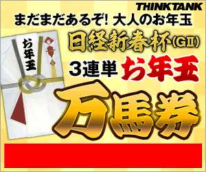 ���󥯥��󥯡����п�����300_250