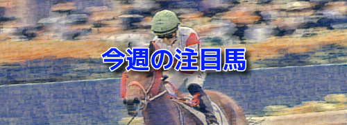 今週の注目馬