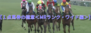 mrwide1tens320