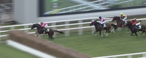 小倉サマージャンプ　アサクサゲンキ