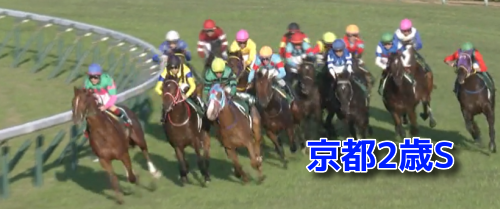 京都2歳S
