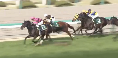 阪急杯 スマートオーディン