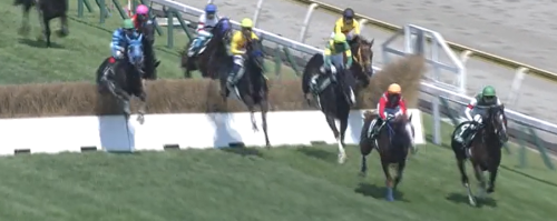 新潟ジャンプS　トゥルボー