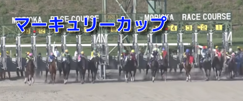 マーキュリーカップ