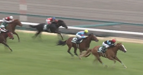 ファルコンS　シャインガーネット